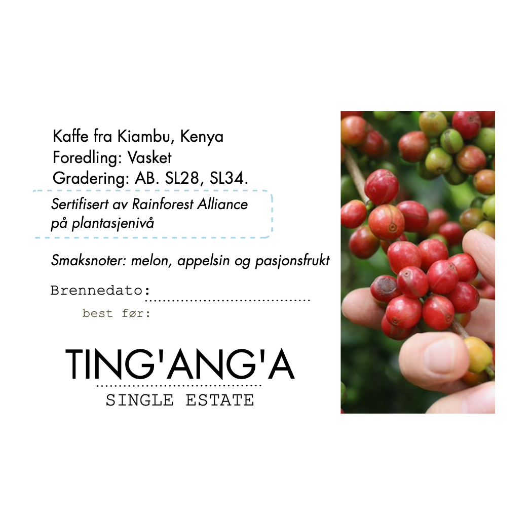 Kenya AB Ting’ang'a