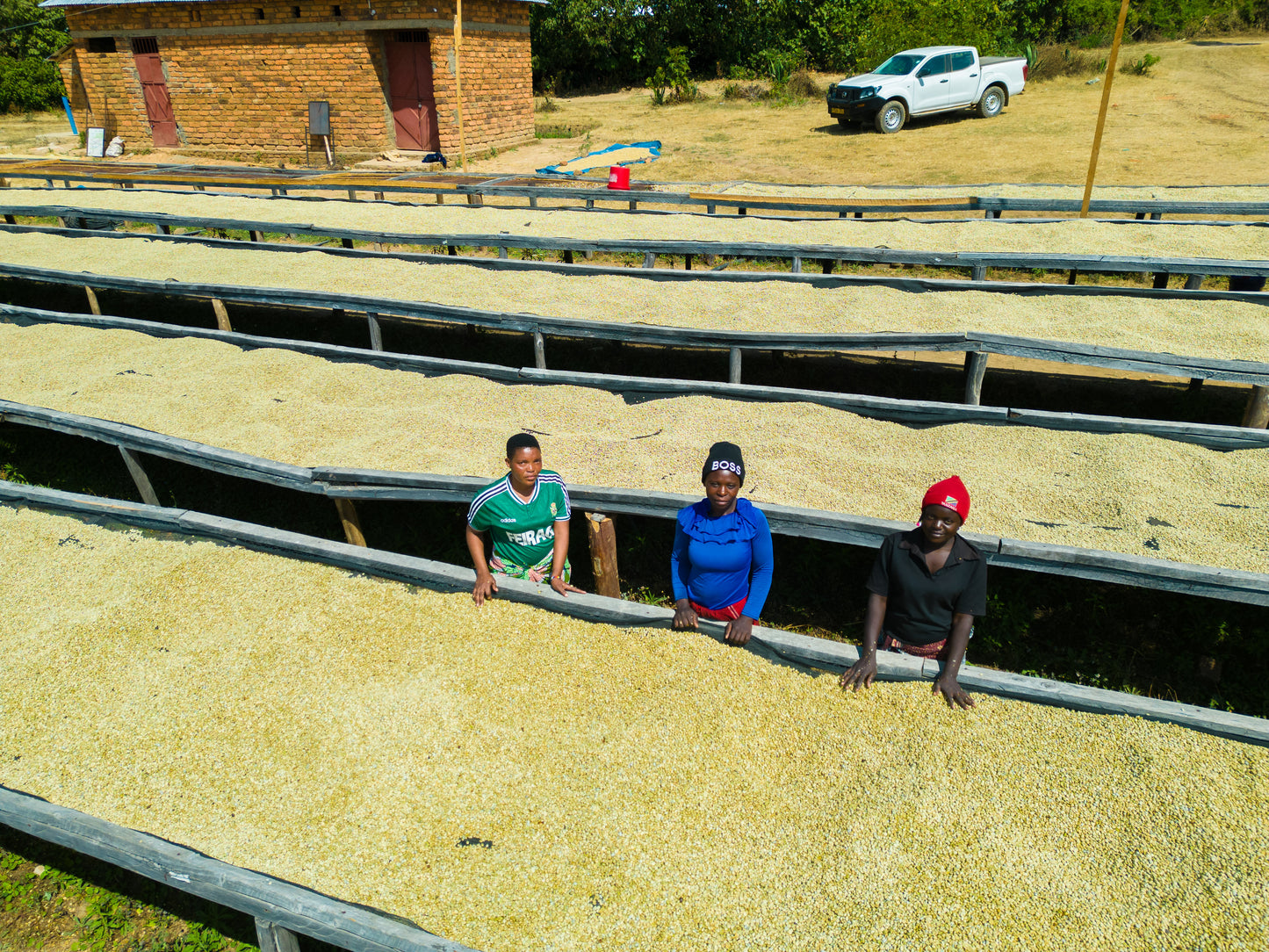 Tanzania - AB Umalila