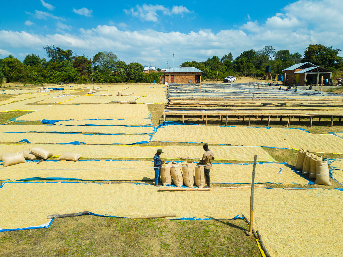 Tanzania - AB Umalila