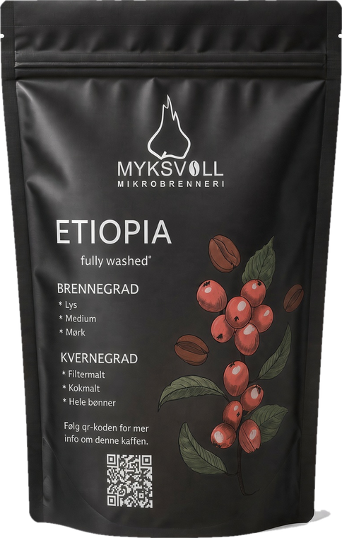 Etiopia Magarissa Chelbesa