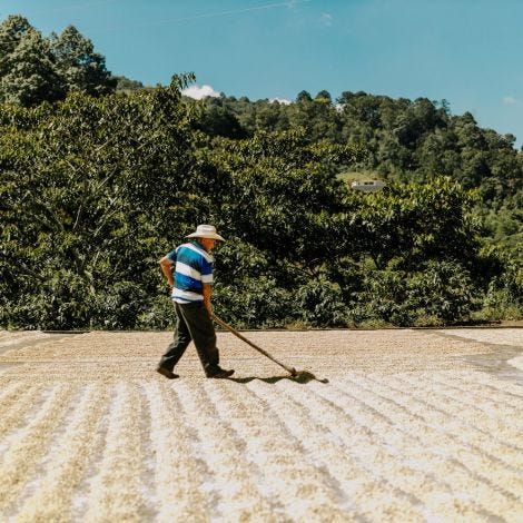 Guatemala Seleccion Baja Verapaz
