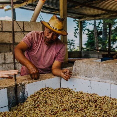 Guatemala Seleccion Baja Verapaz