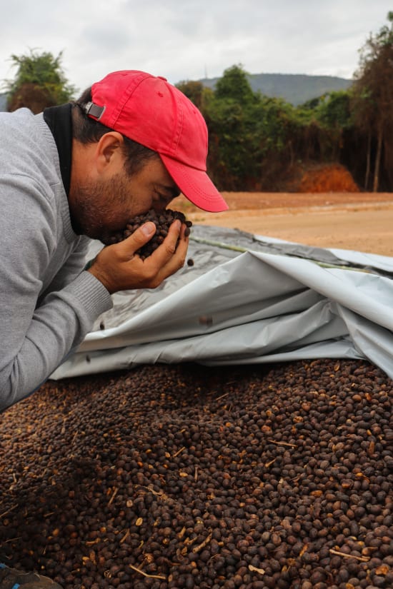 Brasil Fazenda Cerrado Grande