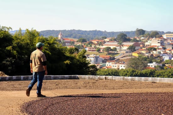 Brasil Fazenda Cerrado Grande