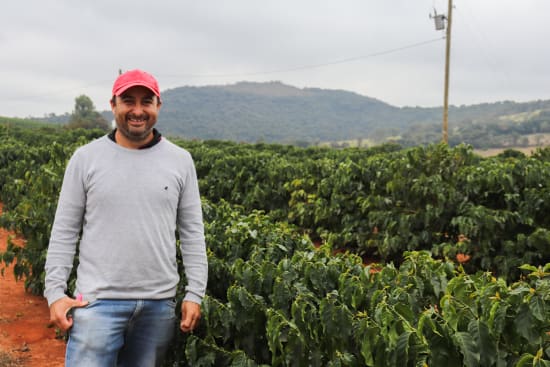 Brasil Fazenda Cerrado Grande