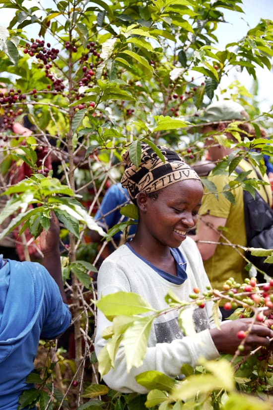 Rwanda Gwiza Women Coffee