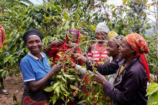 Rwanda Gwiza Women Coffee