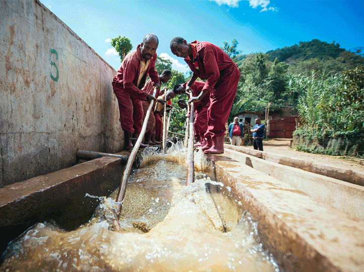 Etiopia Chelchelie Grade 1