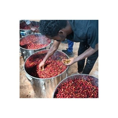 Etiopia Yirgacheffe Bærtørket