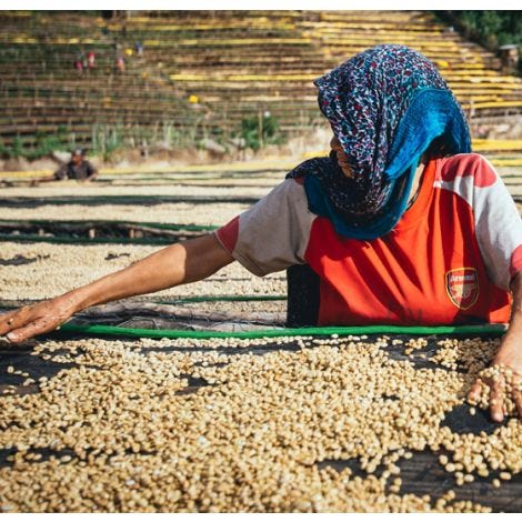 Etiopia Chelchelie Grade 1