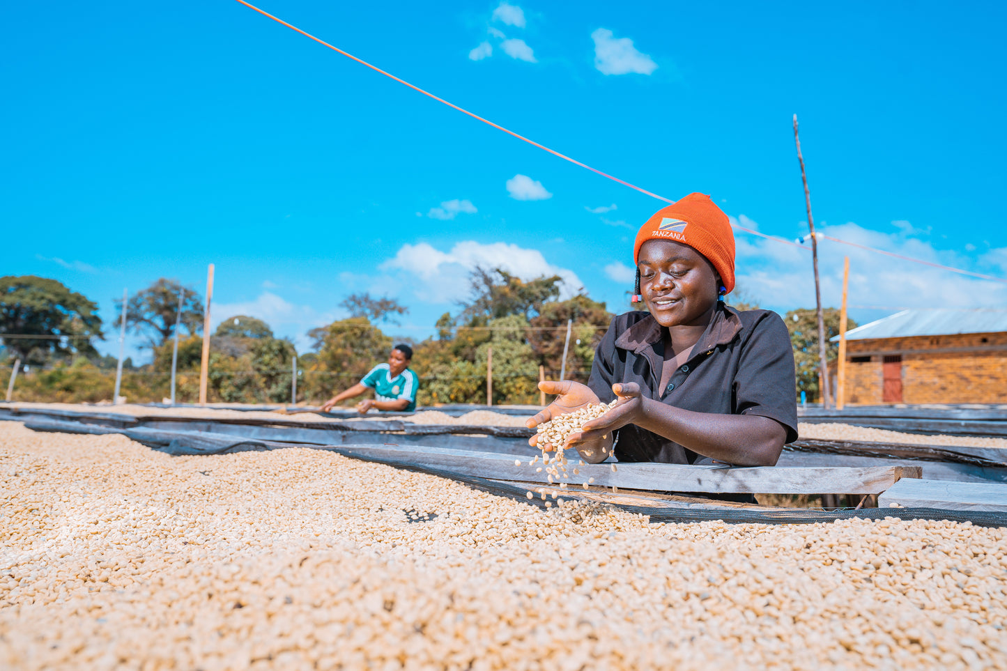 Tanzania - AB Umalila